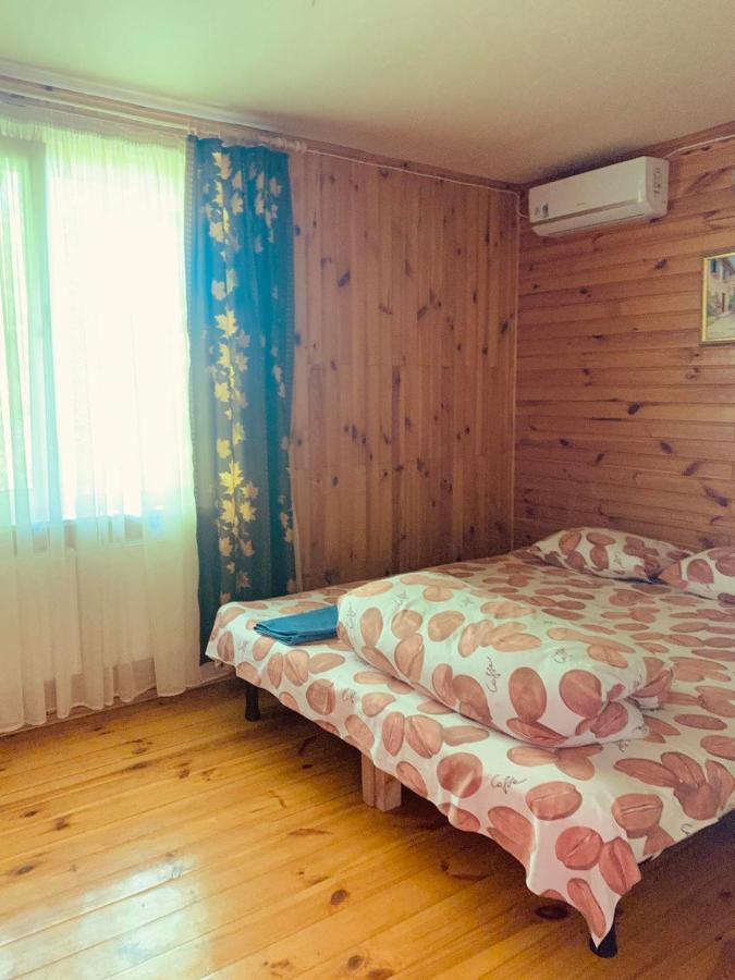 Гостевой Дом "Дача Салтов" Staryy Saltiv Εξωτερικό φωτογραφία
